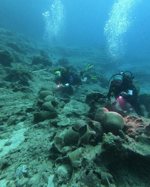 Hatay Shores